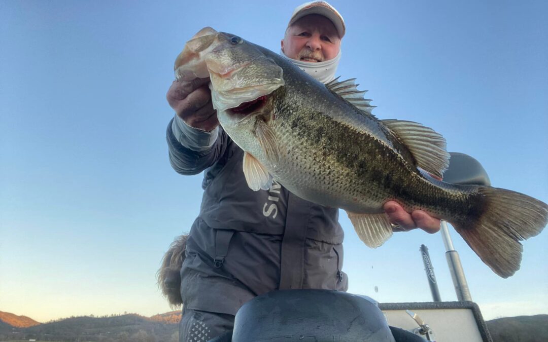 Bass and Crappie bite!